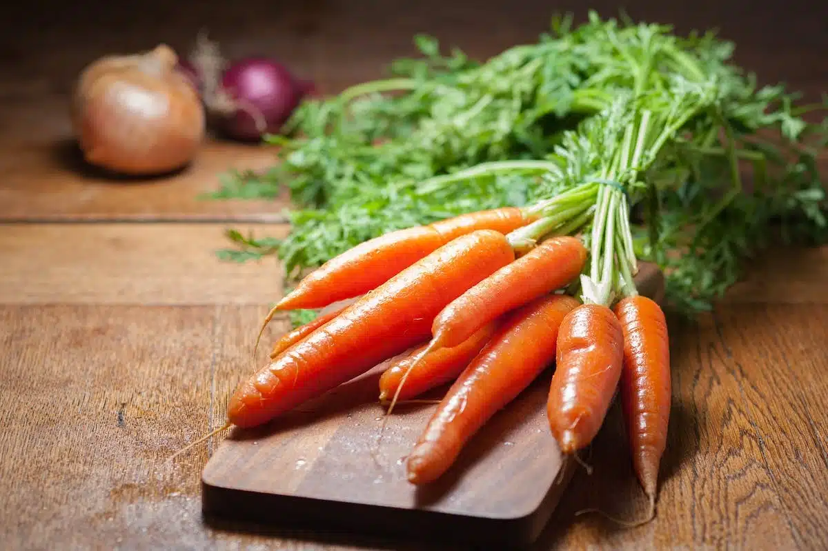 psychologie  alimentation