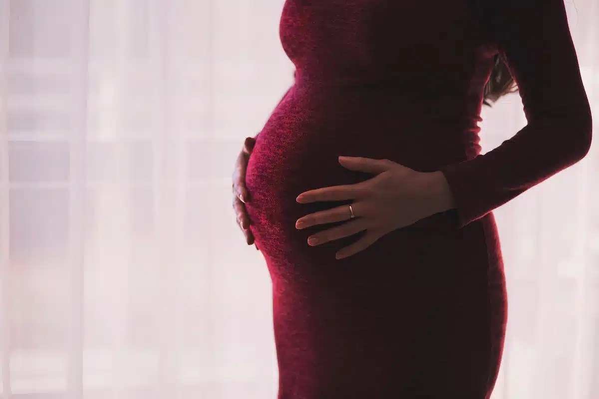 grossesse  développement