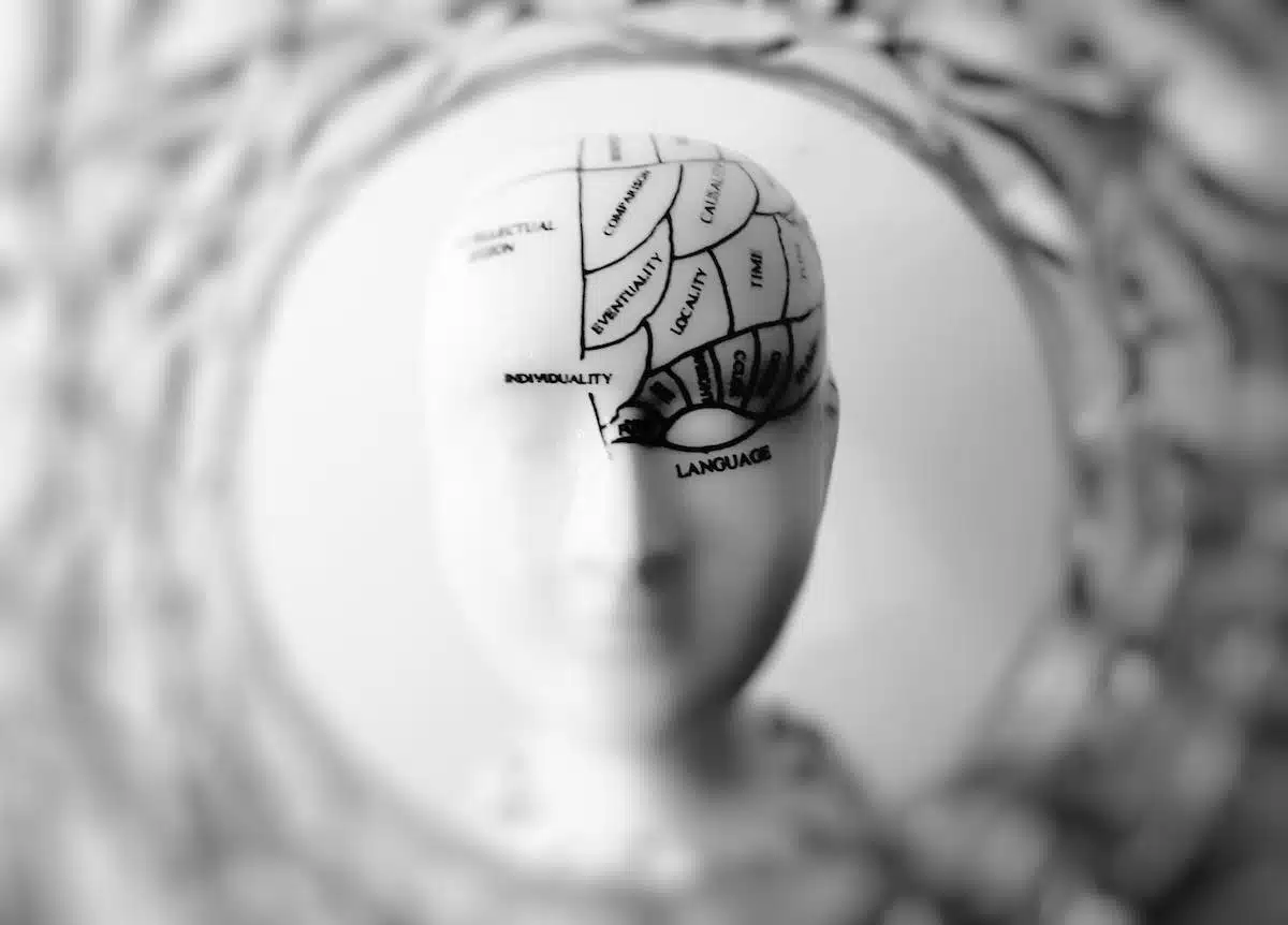 cerveau  vieillissement