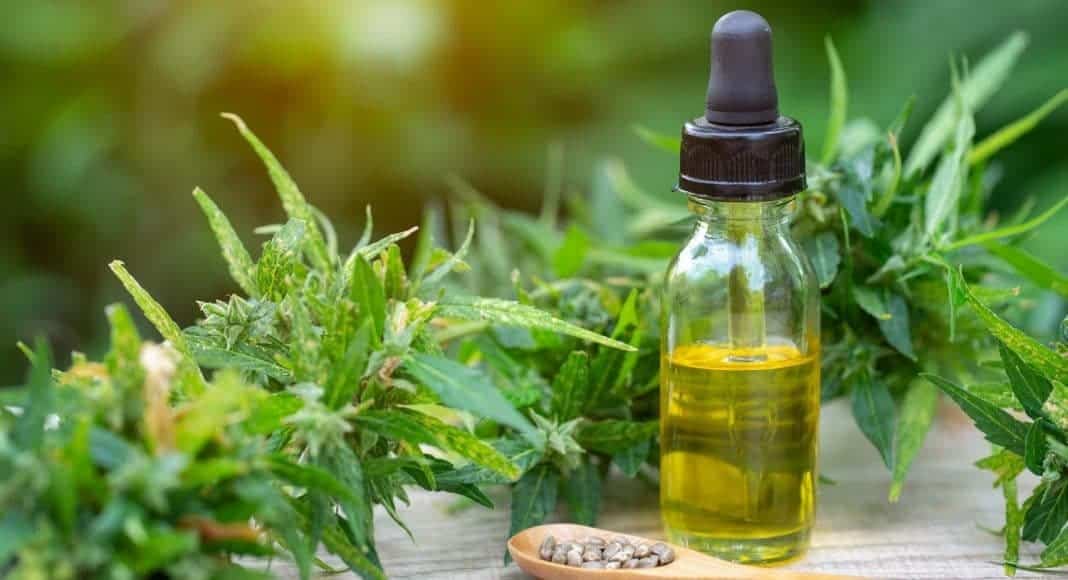 Quels sont les bienfaits de l’huile de CBD pour la santé