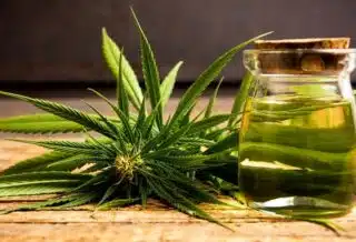 Quels sont les bienfaits de l’huile de CBD pour la santé