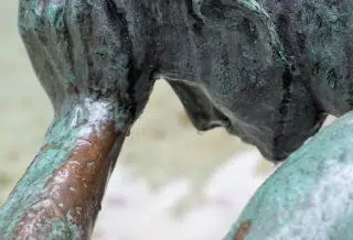Comment guérir une phobie ?