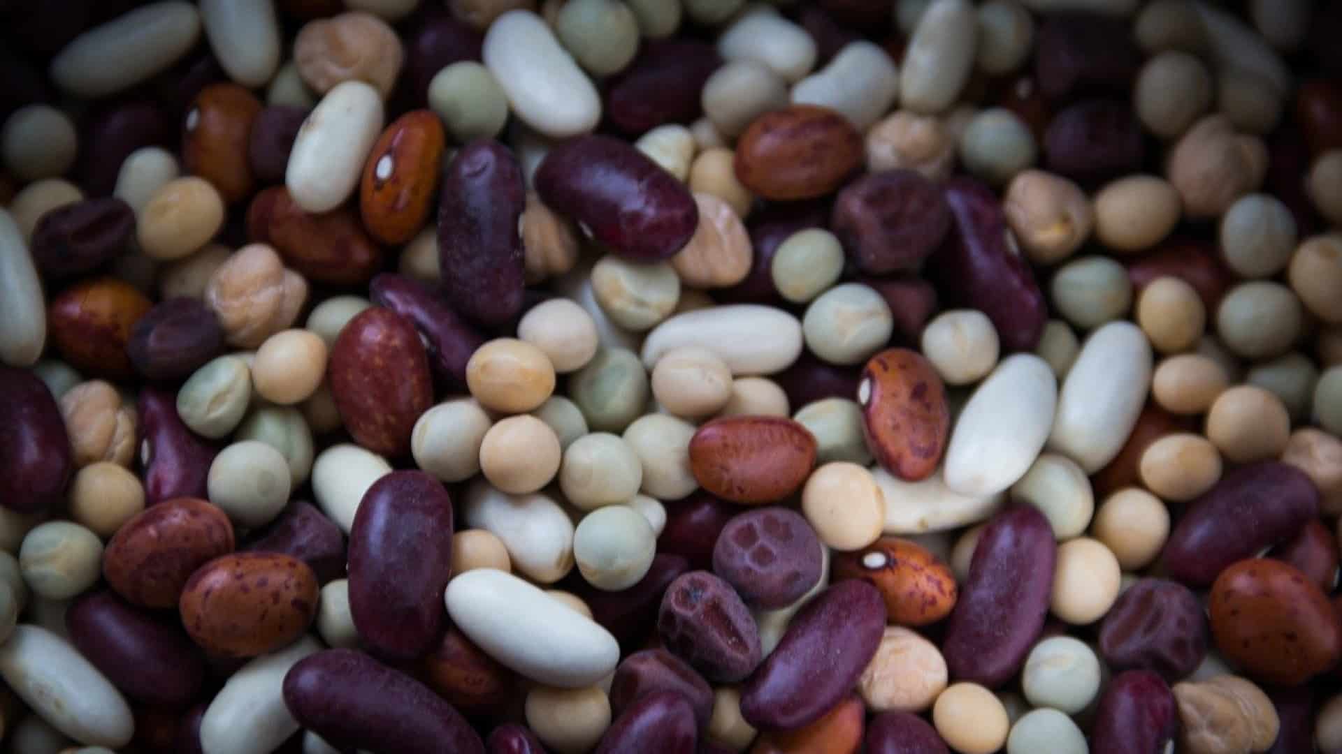 indice glycémique des flageolets