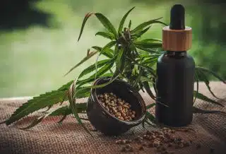 Trois vertus de l'huile de CBD